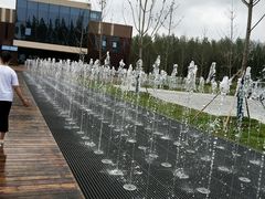 -黄海国家森林公园