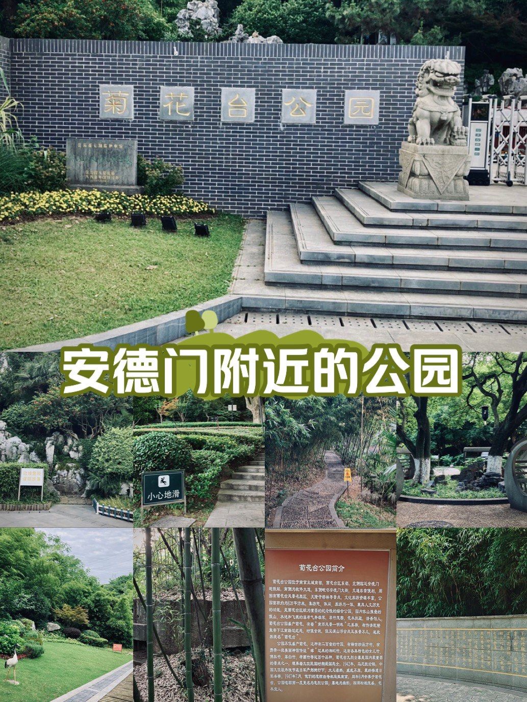 安德门附近的菊花台公园和周董的菊花台无关