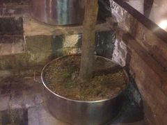 袁记串串香(新南路店)-袁记串串香(新南门店)