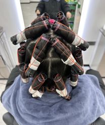 点击看大图 -HaLo hair studio