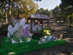 -西溪国家湿地公园