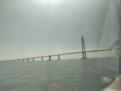 -港珠澳大桥码头