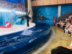 -成都浩海立方海洋公园