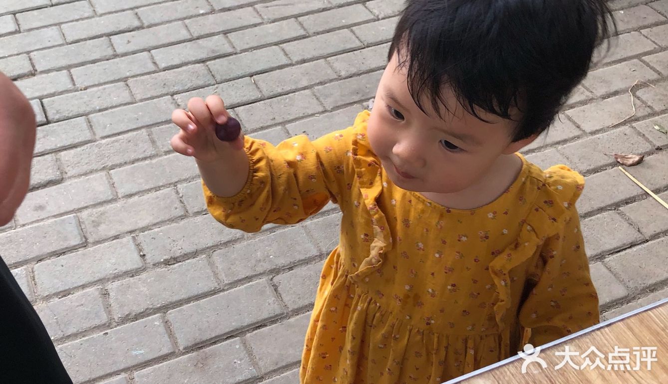 新鲜的葡萄🍇翠冠梨🍐