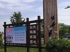 -盐城丹顶鹤湿地生态旅游区