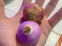 -亿牌牌东北烧烤(博物馆旗舰店)