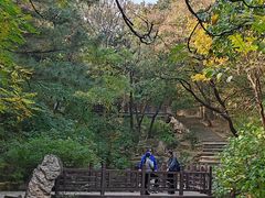 -北京西山国家森林公园