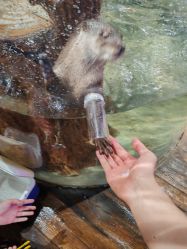 -Zoolung Zoolung动物主题公园(海信广场店)