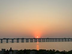 -宝安西湾红树林湿地公园