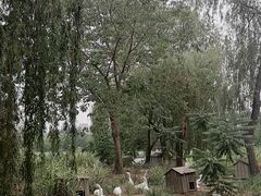 -莲花池公园