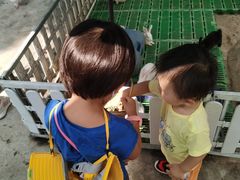 -史努比缤纷世界