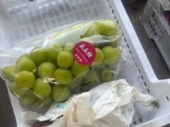 -马陆小张葡萄园农家乐