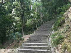 -火炉山森林公园