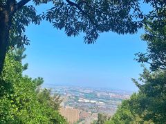 -惠山国家森林公园
