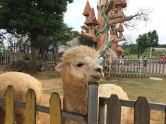 -云漫湖生态度假公园