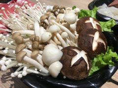 -呷哺呷哺(新世界百货望京店)
