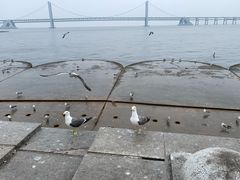 -星海广场