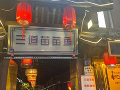 -三道苗苗鱼·美蛙黄辣丁(八里店)