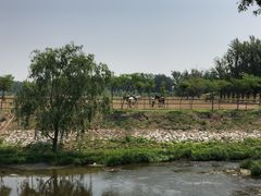 -月河湾马术俱乐部(朝阳店)