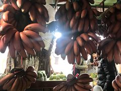 -南沙十九涌渔人码头-南门