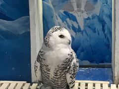 -成都浩海立方海洋公园