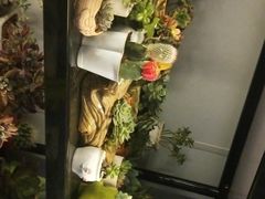 -万卉源鲜花店(百尚生活广场店)