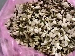 -大班家政月嫂育儿嫂(总部店)