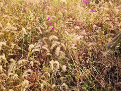 -下渚湖国家湿地公园科普馆