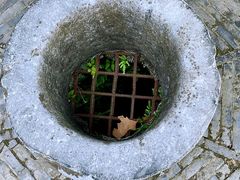 -上海佘山国家森林公园天马山园