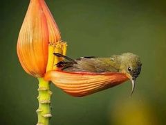 -龙湾潭国家森林公园