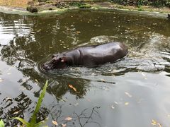 -海南热带野生动植物园