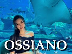-亚特兰蒂斯•OSSIANO奥西亚诺海底餐厅