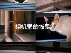 -北京市陈经纶中学