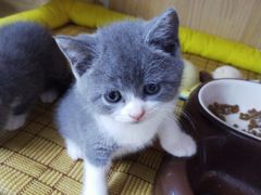 -小小班私人影院·猫咖(万达茂广场店)