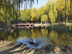 -玲珑塔公园