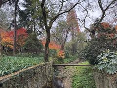 -野蔓果·山野菜(西湖景区·龙井茶田店)