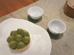 -猫里有甜