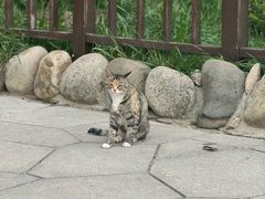 -崂山巨峰游览区