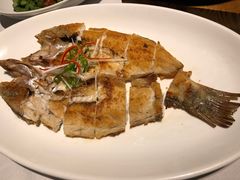 传统香煎咸鲈鱼-汤城小厨•粤菜•靓汤(苏州街店)