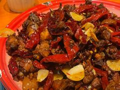 -柴窝堡22号辣子鸡·传承新疆菜