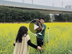 -光明小镇欢乐田园