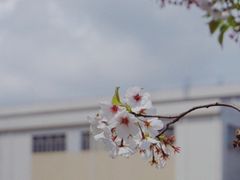 -蓝天路(地铁站)