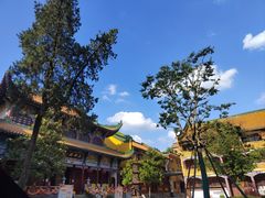 -宝通禅寺