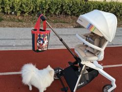 -孩子王(亳州万达店)