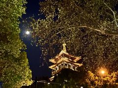 -南宋御街