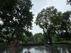 -柳侯公园