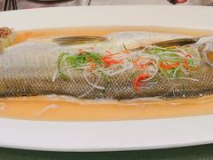 太湖白水鱼-蟹榭·本帮江浙菜·蟹宴(五角场合生汇商场店)