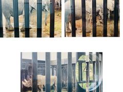 -新疆天山野生动物园