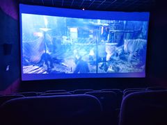 -中影大导演巨幕影城(深圳西乡店)