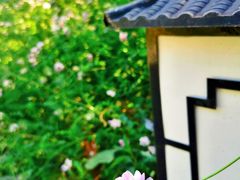 -武陵山森林公园